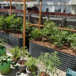 teamgrow.us the best for you home garden.