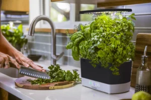 aerogarden