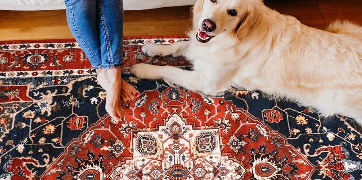 discount rugs