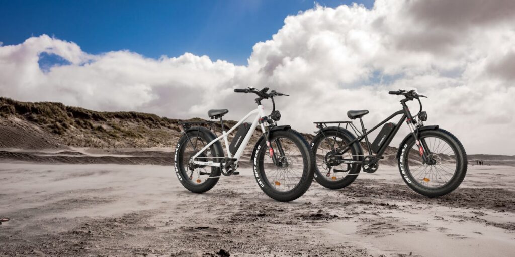 king bull bikes